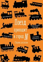 Анастасия Бушмакина - Поезд приходит в город N. Сборник рассказов