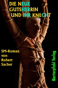 Robert Sacher Die neue Gutsherrin und ihr Knecht обложка книги