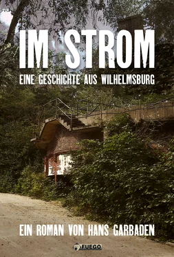 Hans Garbaden Im Strom обложка книги