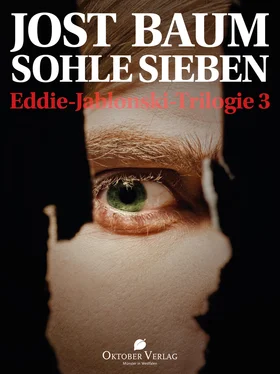 Jost Baum Sohle Sieben обложка книги