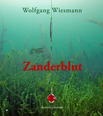 Wolfgang Wiesmann Zanderblut обложка книги