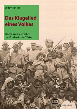 Oktay Tuncer Das Klagelied eines Volkes обложка книги