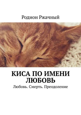 Родион Ржачный Киса по имени Любовь. Любовь. Смерть. Преодоление обложка книги