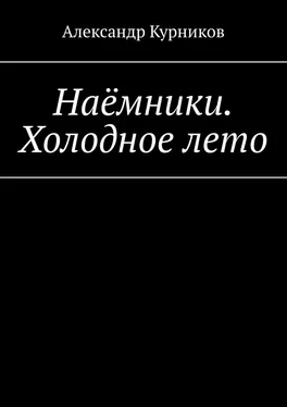 Александр Курников Наёмники. Холодное лето обложка книги