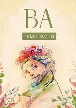 Элан Жени ВА обложка книги