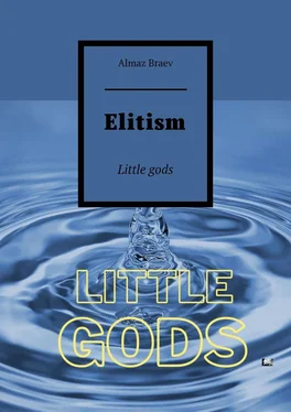 Almaz Braev Elitism. Little gods обложка книги