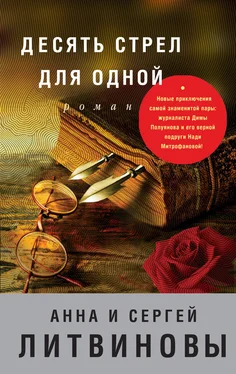 Анна и Сергей Литвиновы Десять стрел для одной обложка книги