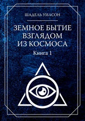 Шадель Уилсон - Земное Бытие взглядом из космоса. Книга 1