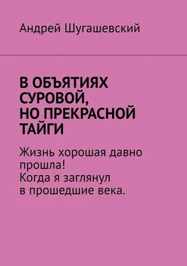 Андрей Шугашевский В объятиях суровой, но прекрасной тайги обложка книги