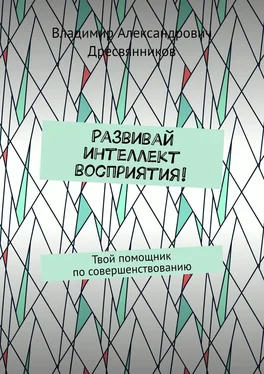 Владимир Дресвянников Развивай интеллект восприятия! Твой помощник по совершенствованию обложка книги