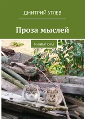 Дмитрий Углев - Проза мыслей. Миниатюры