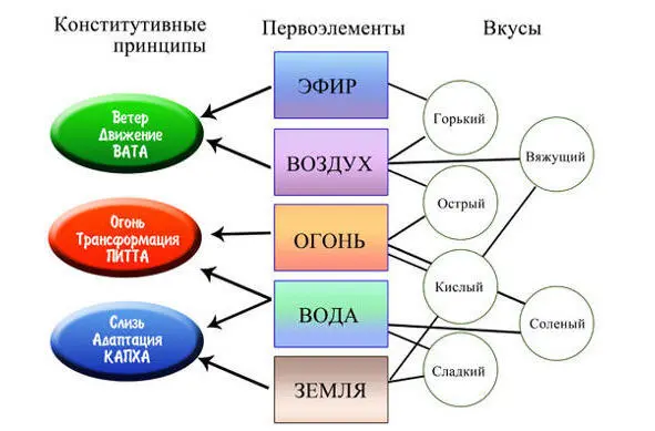 Таким образом зная свойства вкусов на организм человека можно этим - фото 5