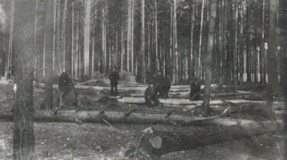 1927 год Свердловск Начало застройки улицы А Толстого Посёлок Новый - фото 5