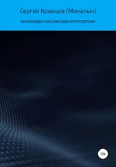 Сергей Кравцов - Бубликайдер из созвездия Криптопотама