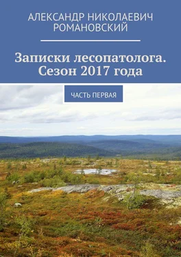 Александр Романовский Записки лесопатолога. Сезон 2017 года. Часть первая обложка книги