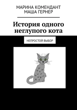 Маша Гернер История одного неглупого кота. Непростой выбор обложка книги