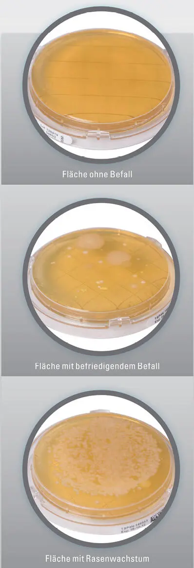 WittyLabor für Wasseranalytik Dinkelscherben Конец ознакомительного - фото 349