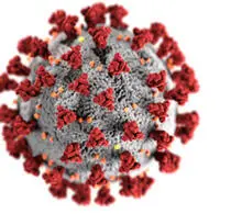 Das CoronaVirus SarsCoV2 löst 2020 eine weltweite Pandemie aus Die - фото 330