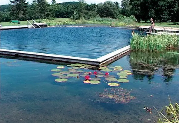Beispiel für einen Badeteich mit abgegrenztem Schwimmbereich Absetzzone im - фото 270