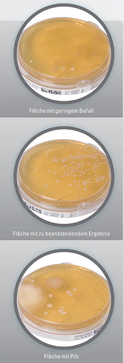 WittyLabor für Wasseranalytik Dinkelscherben Конец ознакомительного - фото 350