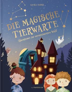 Anika Hasse DIE MAGISCHE TIERWARTE обложка книги