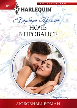 Барбара Уоллес Ночь в Провансе обложка книги