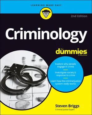 Steven Briggs Criminology For Dummies обложка книги