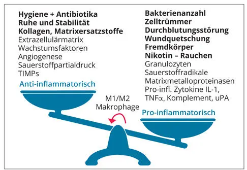Abb 27Das Schaubild des Wundgleichgewichts soll dazu animieren die - фото 38