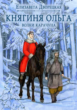 Елизавета Дворецкая Княгиня Ольга. Волки Карачуна обложка книги