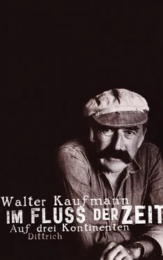 Walter Kaufmann Im Fluss der Zeit обложка книги