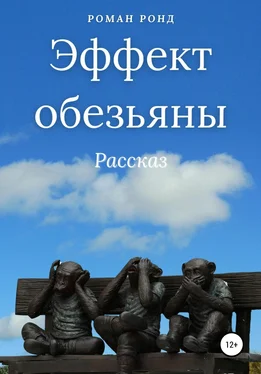 Роман Ронд Эффект обезьяны обложка книги