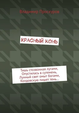 Владимир Проскуров Красный конь обложка книги
