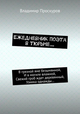 Владимир Проскуров Ежедневник поэта в тюрьме… обложка книги