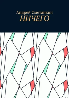 Андрей Сметанкин Ничего обложка книги