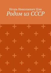 Игорь Цзю - Родом из СССР. Сборник автобиографических рассказов