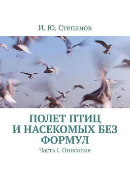 И. Степанов Полет птиц и насекомых без формул. Часть I. Описание обложка книги