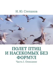И. Степанов - Полет птиц и насекомых без формул. Часть I. Описание