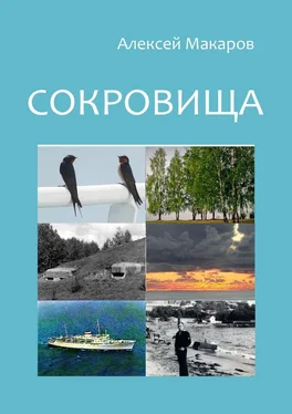 Алексей Макаров Сокровища обложка книги