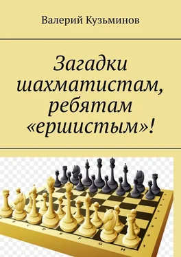 Валерий Кузьминов Загадки шахматистам, ребятам «ершистым»! обложка книги