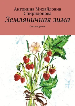 Антонина Спиридонова Земляничная зима. Стихотворения обложка книги