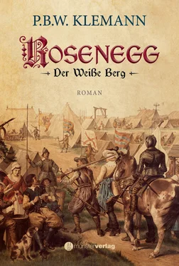 P.B.W. Klemann Rosenegg обложка книги
