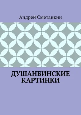 Андрей Сметанкин ДУШАНБИНСКИЕ КАРТИНКИ обложка книги