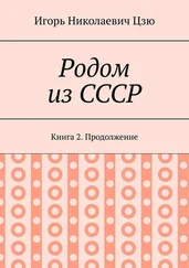 Игорь Цзю - Родом из СССР. Книга 2. Продолжение