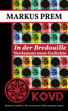 Markus Prem In der Bredouille обложка книги