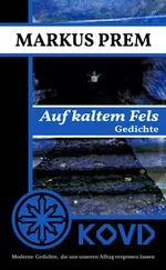Markus Prem - Auf kaltem Fels