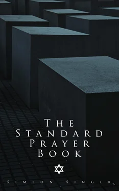 Simeon Singer The Standard Prayer Book обложка книги
