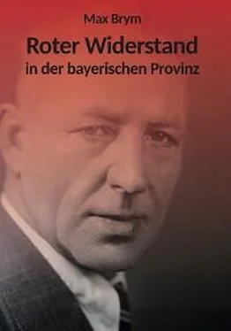 Max Brym Roter Widerstand in der bayerischen Provinz обложка книги