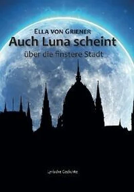 Ella von Griener Auch Luna scheint über die finstere Stadt обложка книги