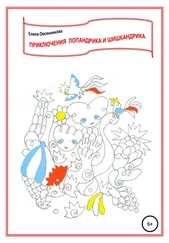 Елена Овсянникова - Приключения Лопандрика и Шишкандрика