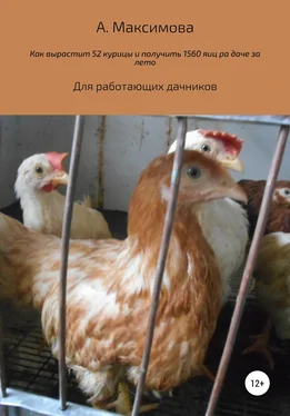 Александра Максимова Как вырастить 52 курицы и получить 1560 яиц на даче за лето. Для работающих дачников обложка книги